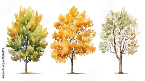 Tree watercolor style. elements drawing for architecture and landscape design