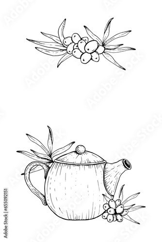 Vector teapot with sea buckthorn branches, berries and leaves elegant card or invitation template. Hand drawn outline illustration. Hippophae herbal organic tea sketch