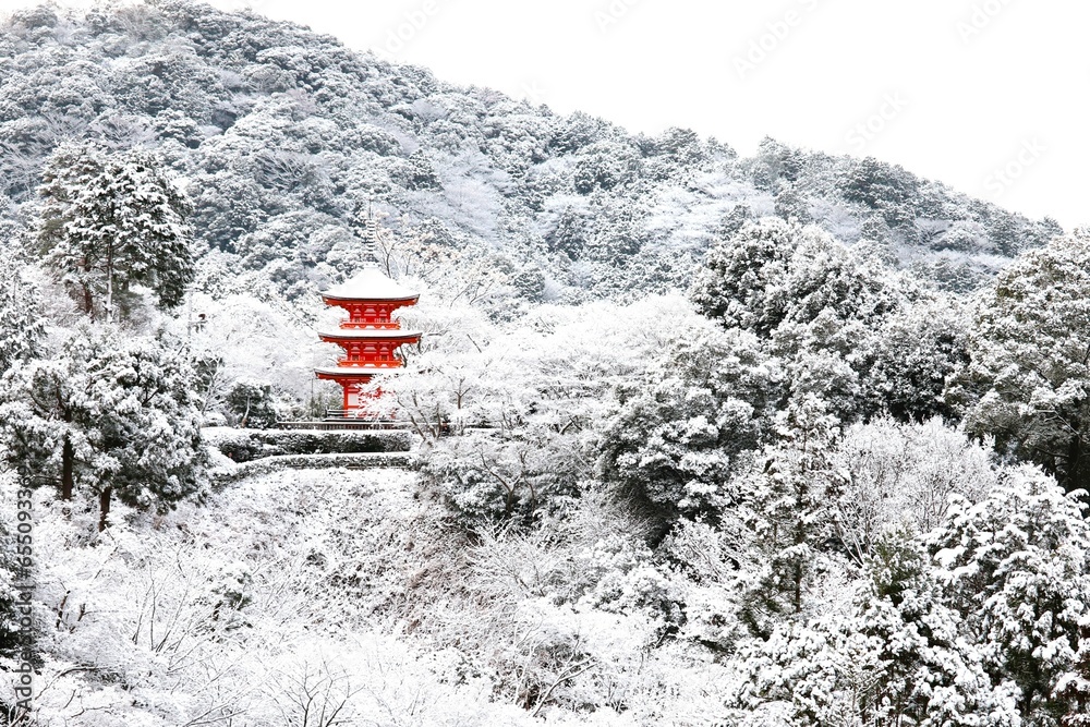 Fototapeta premium 雪の清水寺
