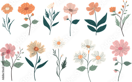 Set of Flowers