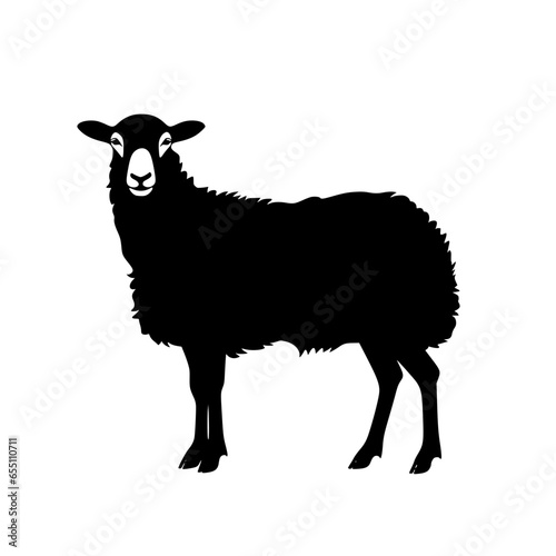 Sheep Vector
