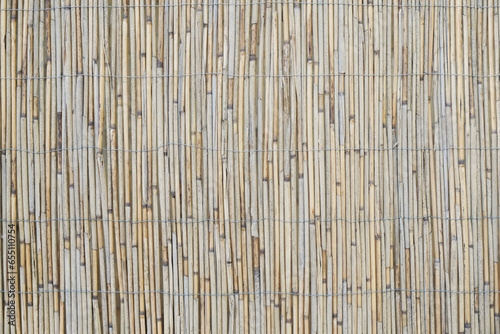 Fototapeta Naklejka Na Ścianę i Meble -  reed screen or bamboo garden fence background