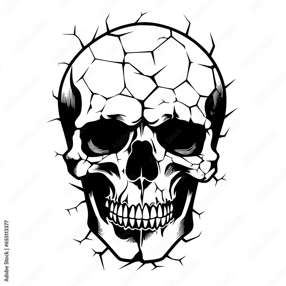 Obraz premium Skull Vector