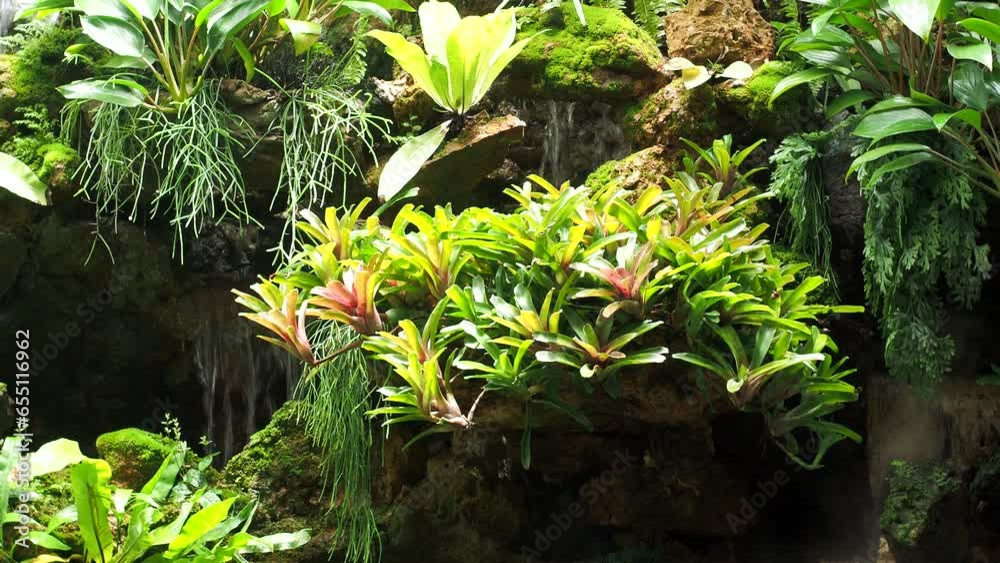 Beautiful tree plants in the park outdoor, parks and gardens