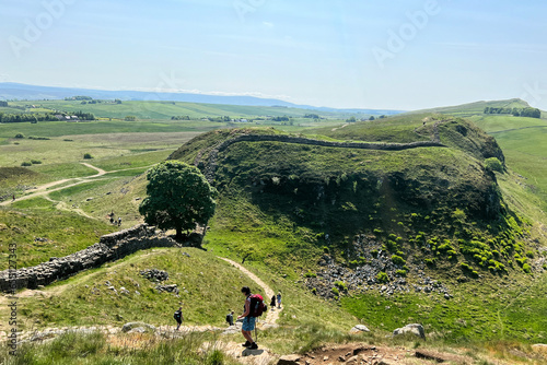 Valokuva Sycamore Gap tree on Hadrian's Wall trail.