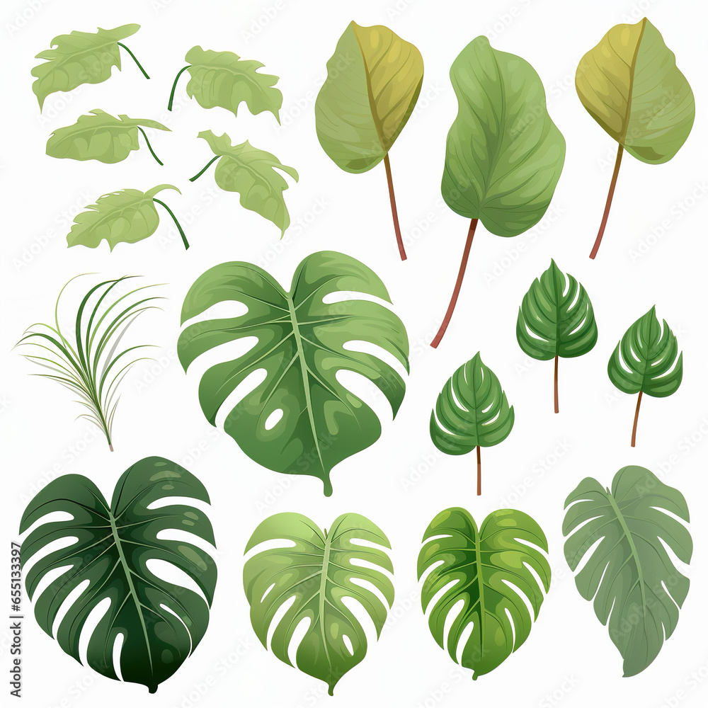 collection of green leaves collection of green leaves
