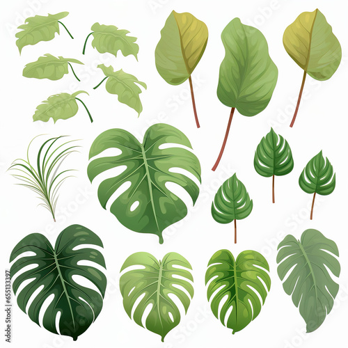 collection of green leaves