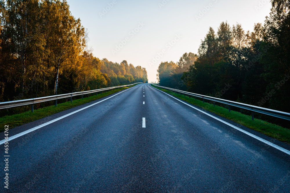 Obraz premium Empty road in the middle of the autumn forest. Beautiful trees,roadway,trees with green foliage and overcast sky.Landscape with empty asphalt road through woods in autumn.Travel concept.