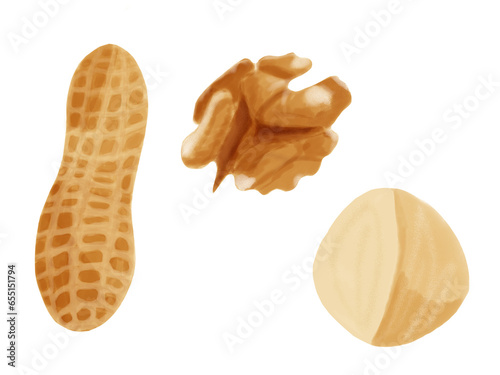 Set of nuts - peanut, walnut, macadamia in hand drawn style and isolated  photo