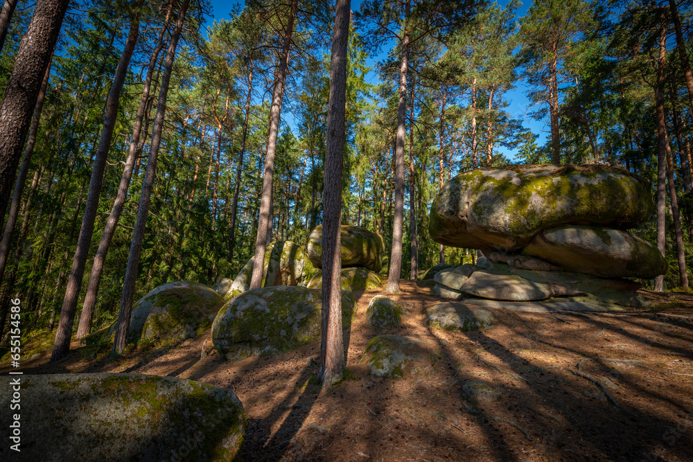 Obraz premium mythical stone giants and viklas and granit rockformation in Blockheide, natural reserve near Gmünd, Austria