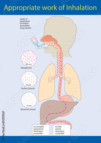 Appropriate work of Inhalation
