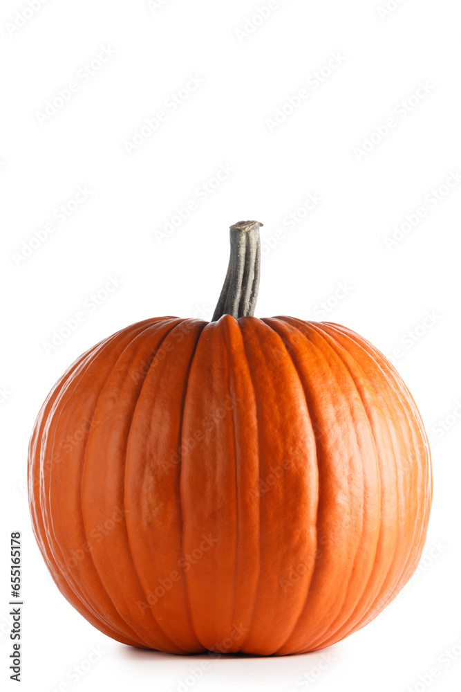 Fresh orange pumpkin on white Fresh orange pumpkin on white