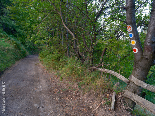 Late summer landscape on Via Transilvanica path, Romania, Europe
 photo