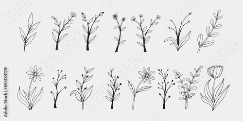 Flower Line Art
