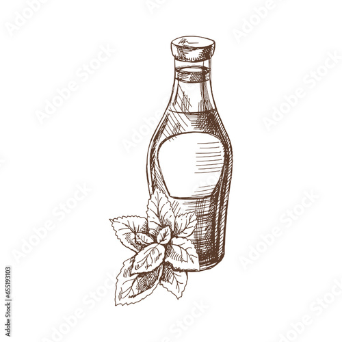 Hand-drawn sketche of ketchup or sauce in a glass jar and a bunch of mint. For the design of the menu of restaurants and cafes, grilled food.
