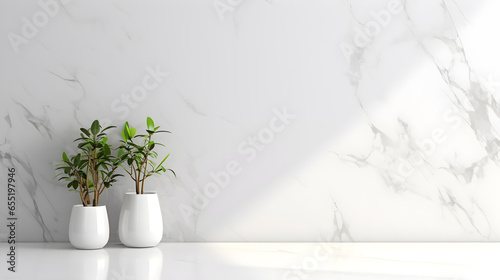 white marble with potted plants. with copy space photo