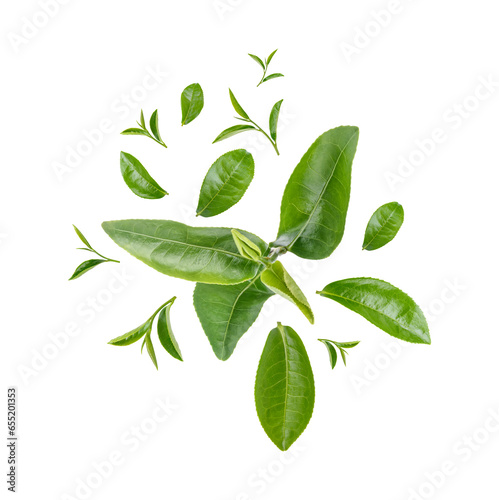 Fototapeta Naklejka Na Ścianę i Meble -  Green tea leaves isolated on white background