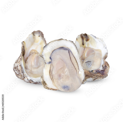 Oyster isolated on transparent background (.PNG)