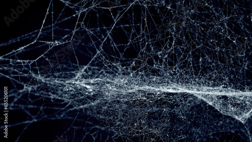 Spider cobweb. An intricate neural network structure emerges from chaotic cobweb patterns on a black background.