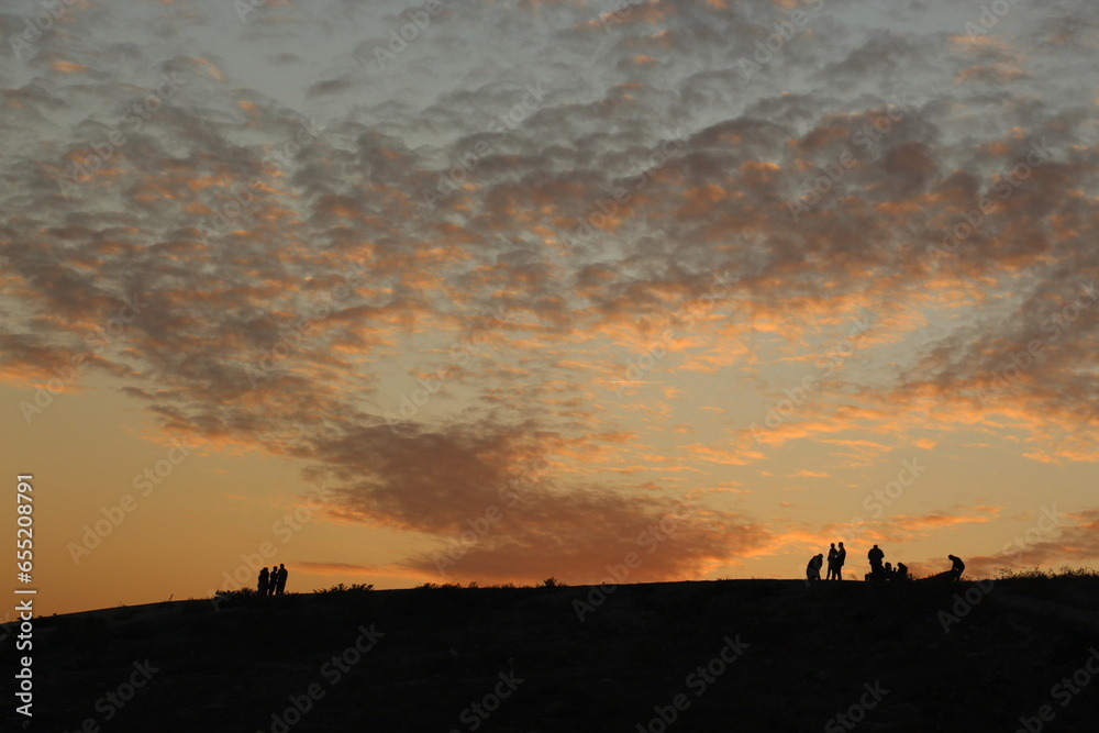 silhouette of a person