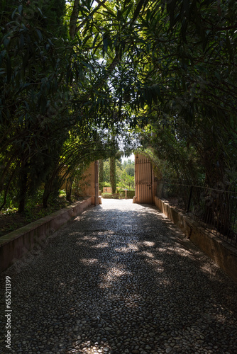 Paseo de las oleanders in the Generalife, which is a path full of vegetation that provides darkness