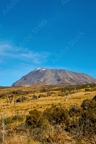Fototapeta Naklejka Na Ścianę i Meble -  view of the foothills of kilimanjaro