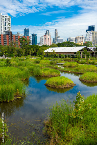 Benchakitti tropical rainforest in city park with modern office building new landmark