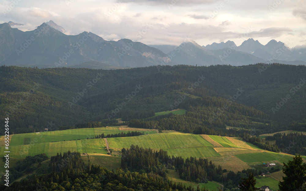 Widok na Tatry z Pienin