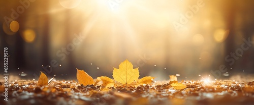 Forest Floor Covered in Yellow and Orange Fallen Leaves, Wide Autumn Background - AI Generated