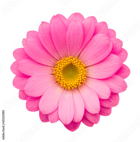 pink flower isolated on transparent background, extracted, png file © genioatrapado