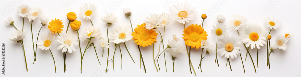 Obraz premium Set of different beautiful flowers, spring time. Banner design.