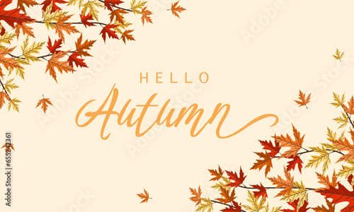 Nature Hello Autumn Season background with yellow, red and orange autumn leaves, with space for text. Frame with autumn leaves.