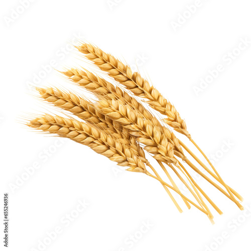 Wheat ears isolated on white background, png, no background