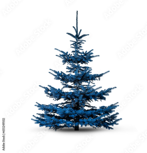 Blauer Weihanchtsbaum vor weissem Hintergrund