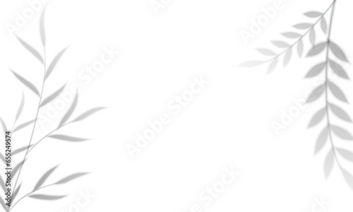 Shadow overlay effects. Tropical leaf soft shadow. Natural light scene  vector illustration