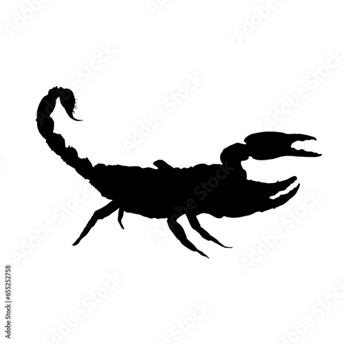 scorpion silhouette - vector illustration