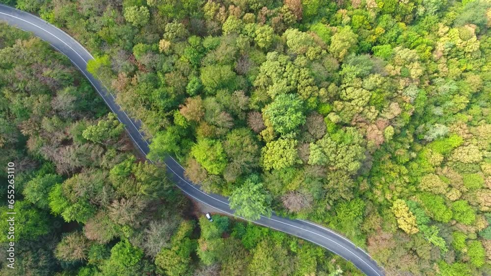 Curved road view from drone, aerial in the forest, autumn time