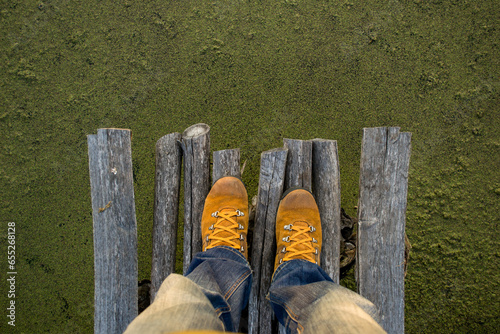 Top view of men's work boots and denim pants. A person stands on an old fishing bridge over a swamp (ID: 655268128)