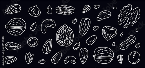 Vector collection of different nuts hand-drawn in doodle style