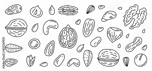 Vector collection of different nuts hand-drawn in doodle style