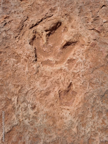 Dinosaurier Spuren