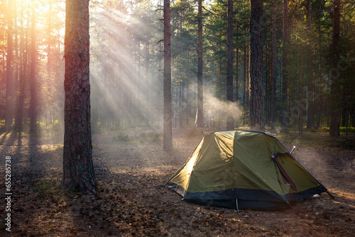 Fototapeta Naklejka Na Ścianę i Meble -  Tourist tent in a pine forest at sunset.