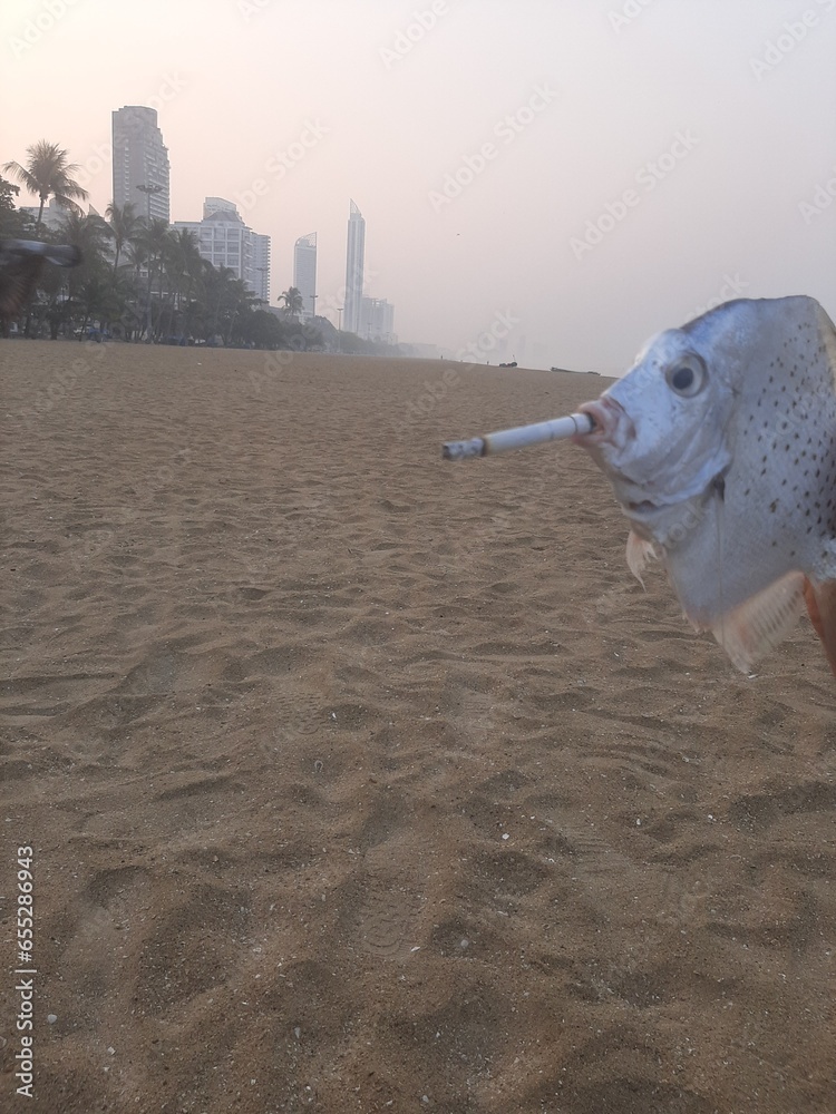 Obraz premium person on the beach