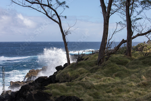 A photo of a coast trail in La Reunion