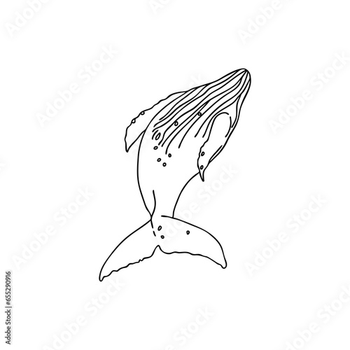 Isolated vector illustration of a humpback whale swimmig and jumping