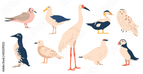 Tableau sur toile Arctic Bird Species Include Puffin, Snowy Owl, Arctic Tern, Common Eider, Guille