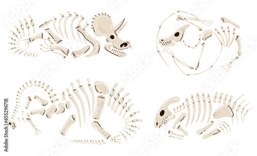 Dinosaur skeleton fossil bone dino museum archaeolog jurassic isolated set. Vector flat graphic design illustration
