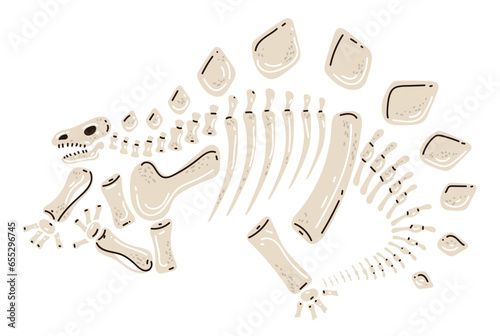 Dinosaur skeleton fossil bone dino museum archaeolog jurassic isolated set. Vector flat graphic design illustration
 photo