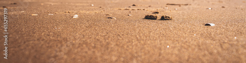 Close up sandy beach banner with copy space