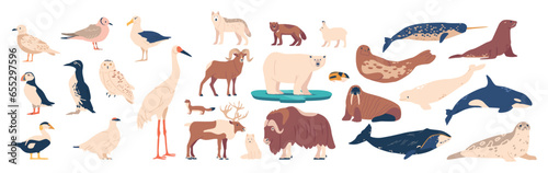 Set Arctic Animals And Birds Including Polar Bear, Musk Ox, Seal, Walrus, Wolf, Polar Fox, Reindeer, Penguin And Ermine